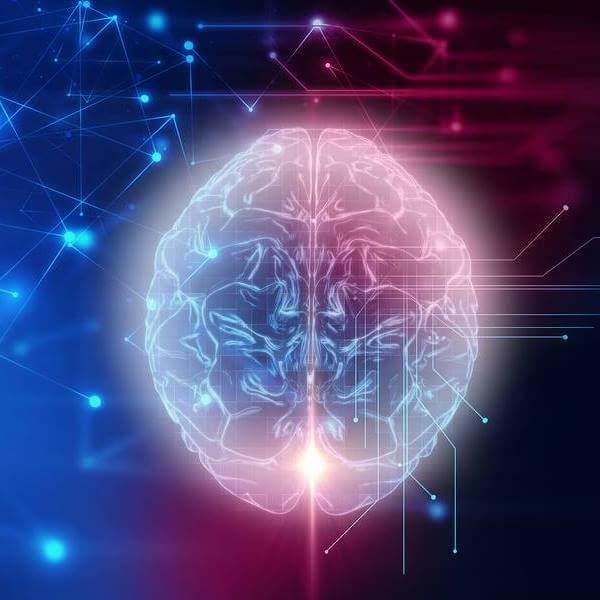 Did you know that without our brain our body will not keep functioning on it's own?